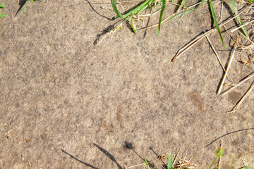 Straw and stone