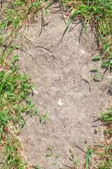 Stone in frame of grass  