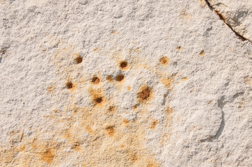 Stone texture closeup