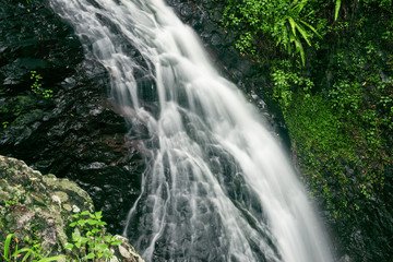 Natural Bridge Waterfall at Springbrook in Queensland.  
