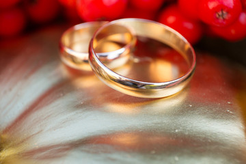 gold wedding rings in autumn scenery