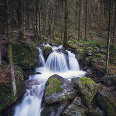 small waterfall in Black Forest, Germany
