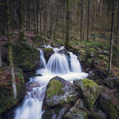 Obraz premium small waterfall in Black Forest, Germany
