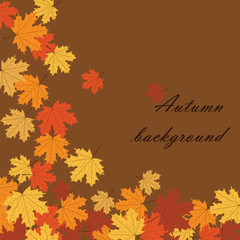 Autumn background with maple leaves. Vector