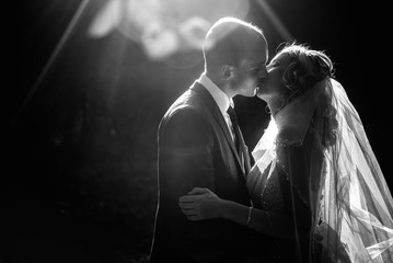 bride and groom kissing in light on a background of beautiful sunny trees
