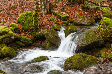 Arroyo Valdecuevas y cascada. Cabornera, León.
