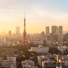  Sunset over Tokyo. Tokyo  is both the capital and largest city of Japan. The Greater Tokyo Area is the most populous metropolitan area in the world.