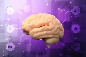 Human brain 3d illustration
