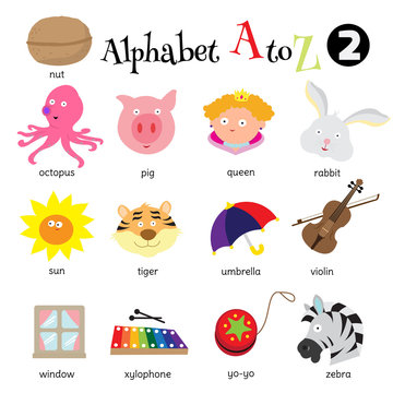 Examples of pictures starting from N to Z
