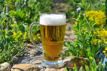 pint of beer on stones