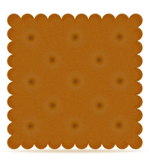 crispy biscuit cookie vector illustration