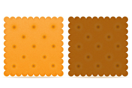 Crispy Biscuit Cookie Vector Illustration