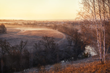 Birches on the banks of the river in the early spring morning