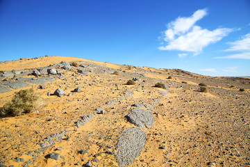 Fototapeta na wymiar old fossil in the desert bush sahara and stone sky