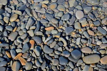 Sea stones