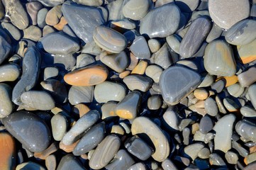 Sea stones