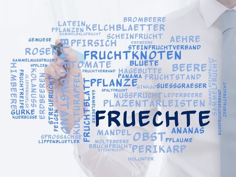 Fr&uuml;chte
