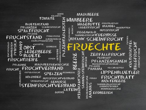 Fr&uuml;chte