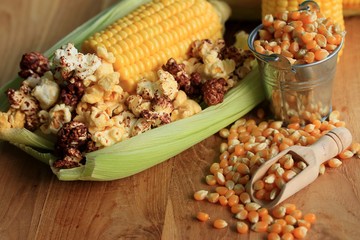 Corn and dried seeds