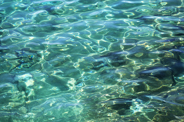 Fototapeta premium beautiful seascape with waves