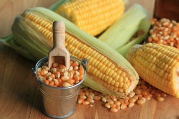 Corn and dried seeds