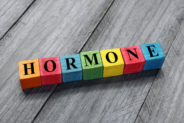 hormone text on colorful wooden cubes - obrazy, fototapety, plakaty