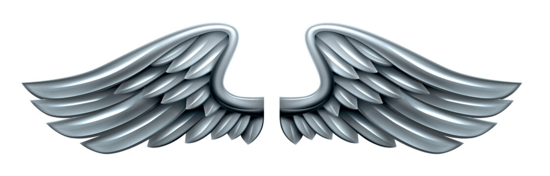 Silver Steel Metal Wings