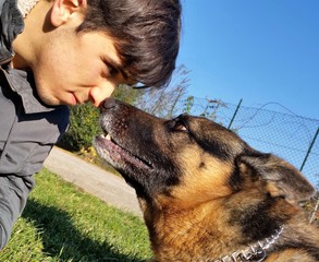 Affetto tra un ragazzo e il suo cane
