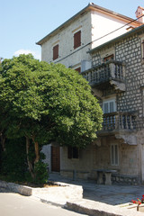 Fototapeta na wymiar Old house and tree