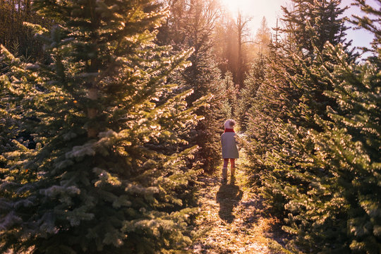 Girl walking between two rows of trees