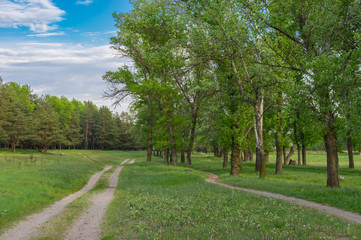 Spring landscape with earth road and path in central Ukraine