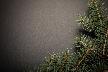 Christmas tree branch on a black table or board for background.