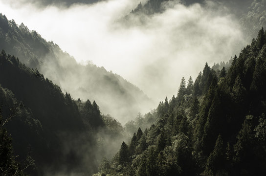 Fototapeta Wysoka góra we mgle i chmurze