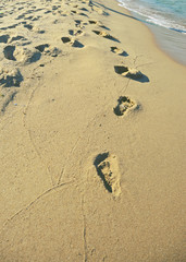 Footsteps 