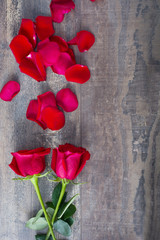 Roses and petals on wood