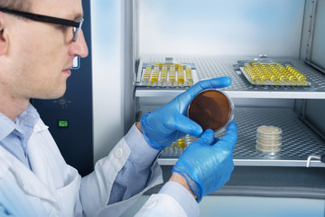 Microbiologist hand cultivating a petri dish whit inoculation loops, beside autoclave.