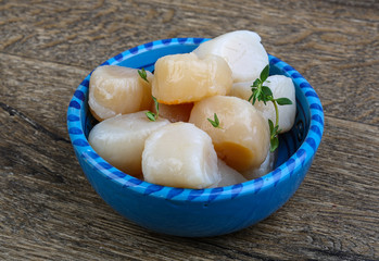 Raw scallops
