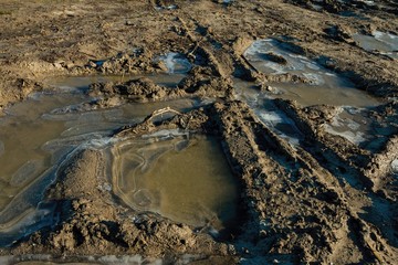 Water in a puddle covered with a thin layer of ice.