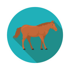 flat  icons horse
