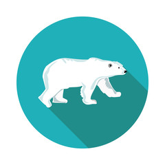 flat  icons polar bear