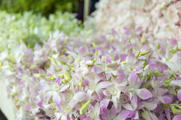 Flowers in flowers markets