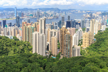 View from Victoria Peak to the bay