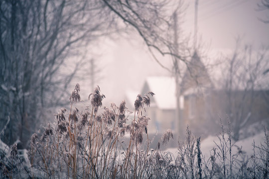 Snow And Winter. Belarus Village, Countryside In Winter