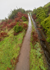 Fototapeta na wymiar Levada, irrigation channel on Madeira.