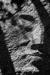 Ouagadougou, laongo park