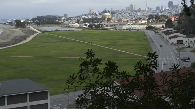 Crissy Field in the Presidio with the San Francisco skyline in the background, tree branches in the foreground.