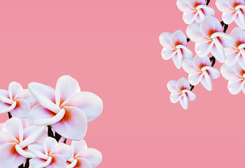 romantic pink flower background