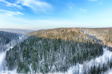 Aerial view of snow-covered trees in the mountains