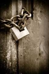 Rusty metal gate closed with padlock - concept image with copy space