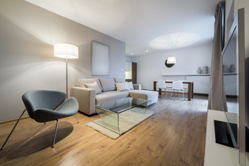 Modern interior design apartment